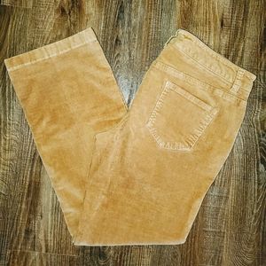 Jones New York Sport Petite Stretch Courderoy